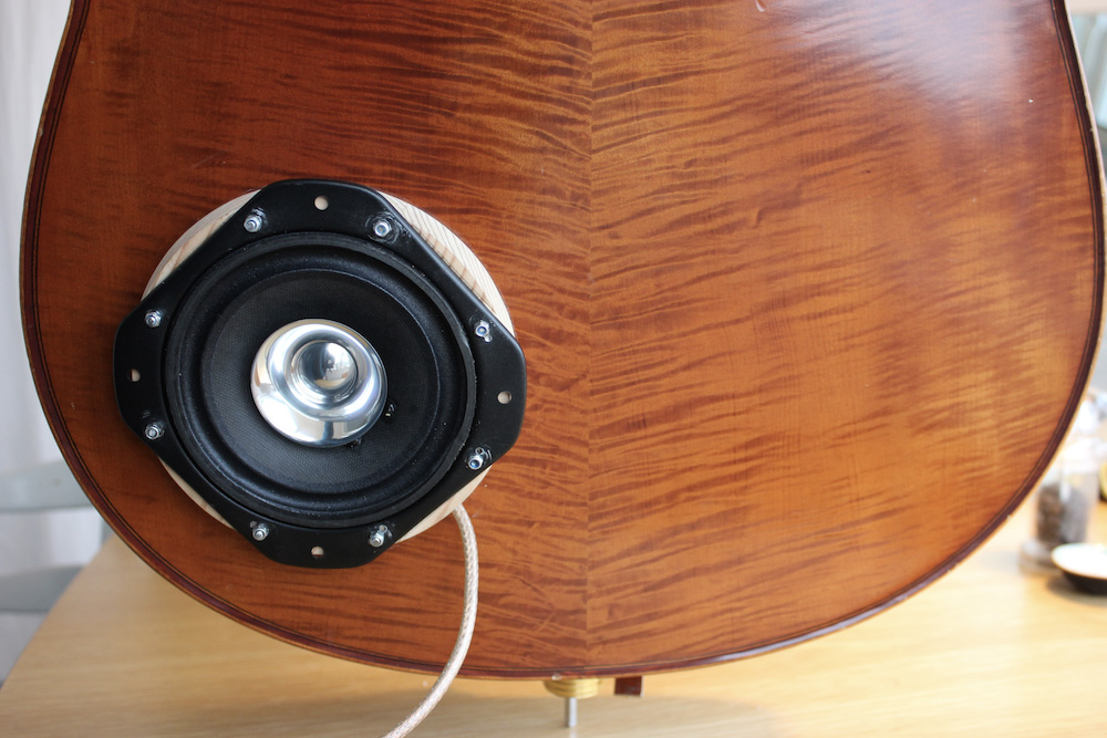 Feedback Cello Speaker