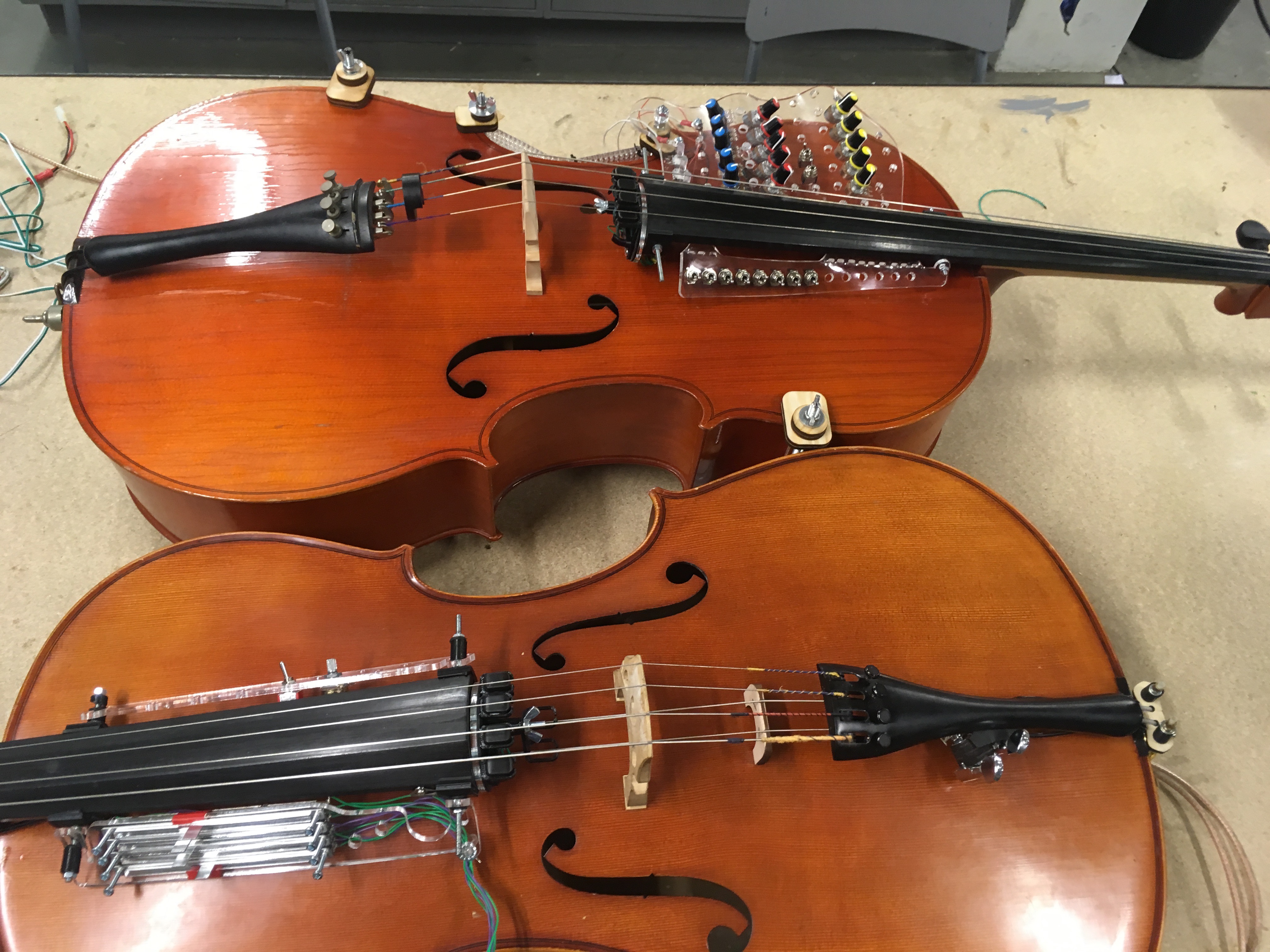 Feedback cellos