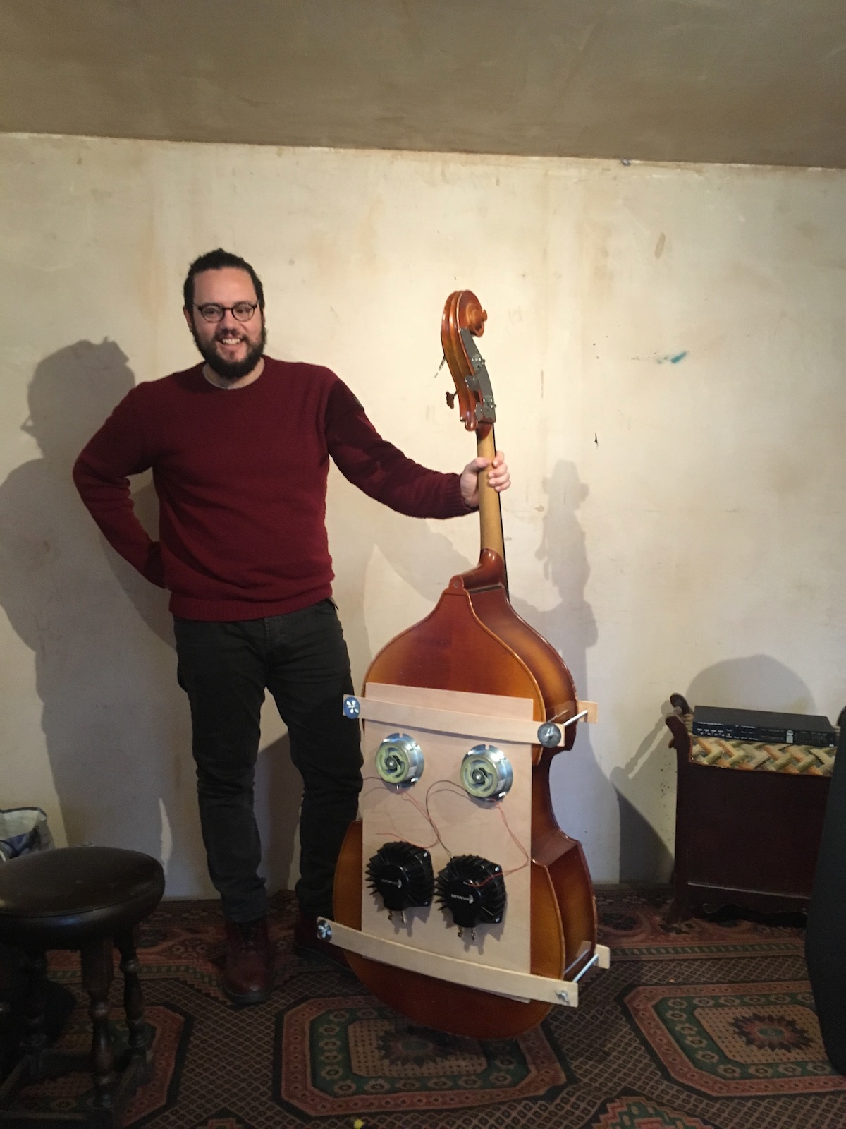 Feedback Double Bass